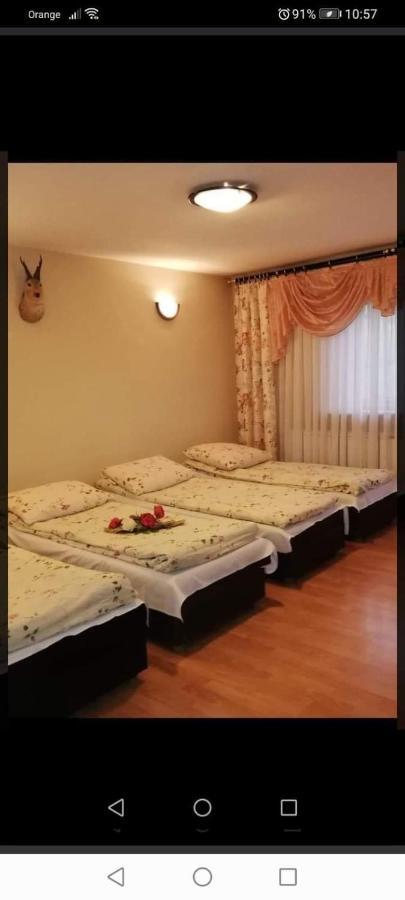 Agroturystyka Pod Lasem Poronin Exterior foto